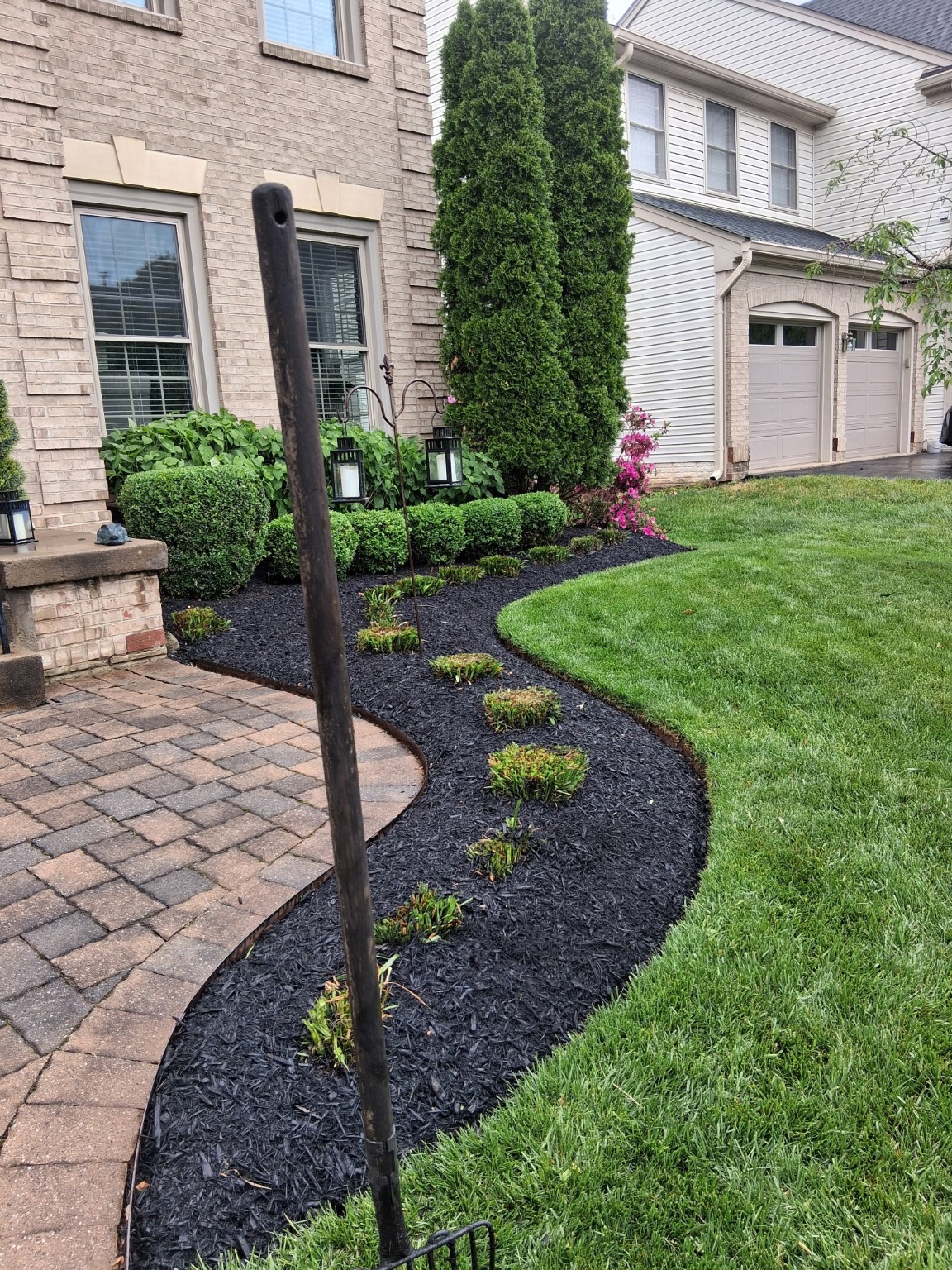 Front bed with black mulch and plants