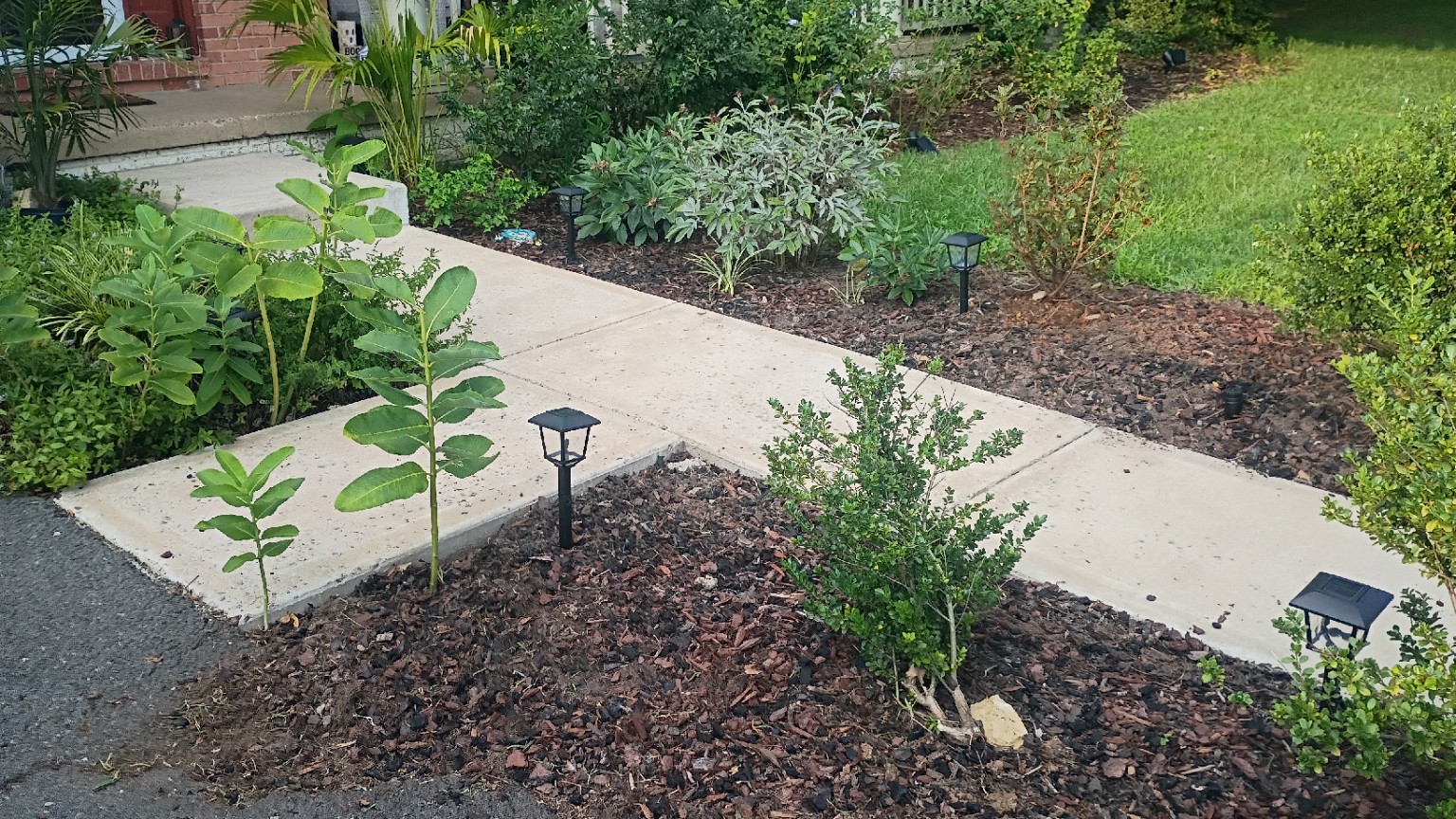 Walkway landscape bed and lights